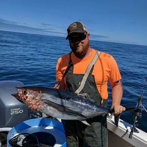 Meet your Posher, Jeff